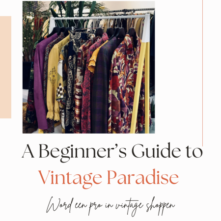 ebook-a-beginners-guide-to-vintage-paradise