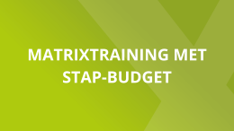 stap budget trainingen