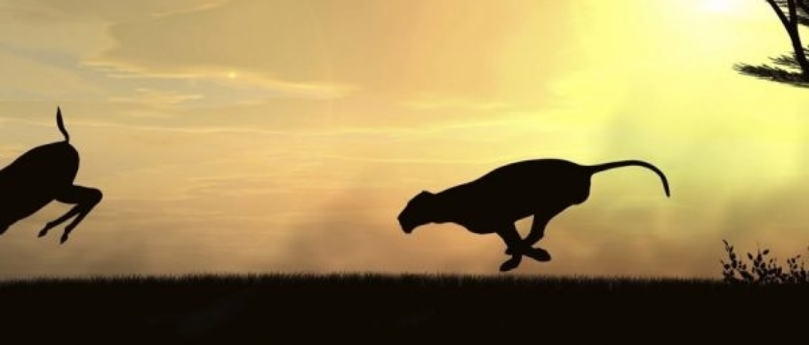 3 Minuten Fat Loss Finisher