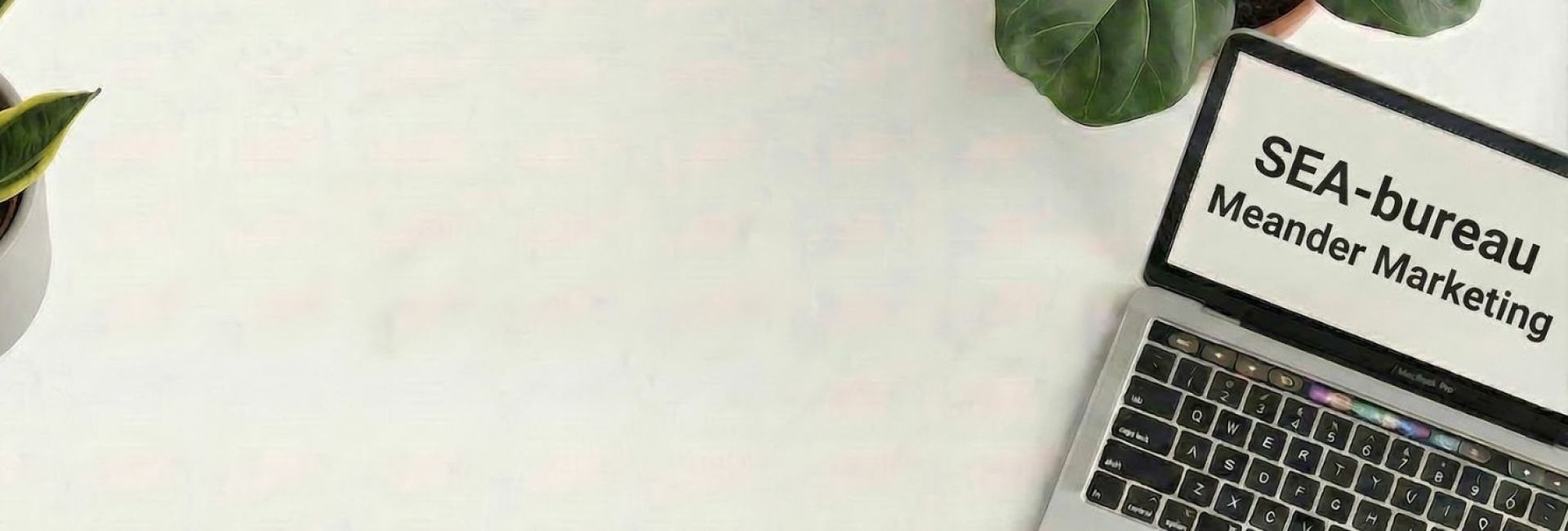 SEA-bureau header SEA-bureau header