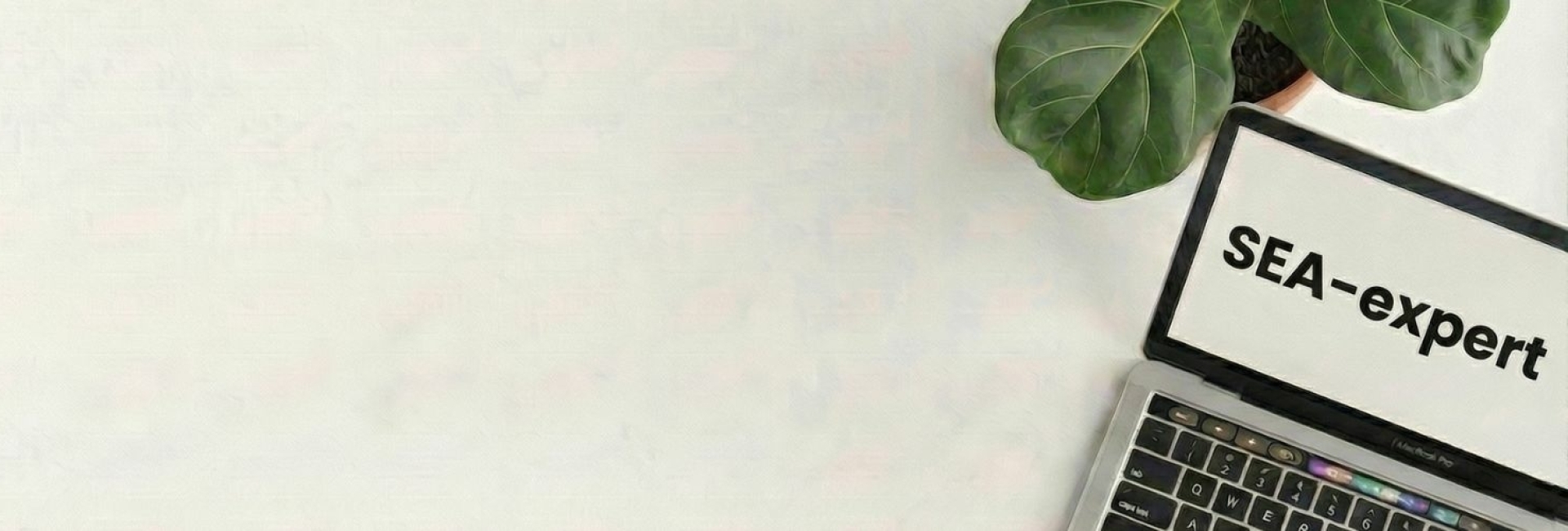 SEA-expert header SEA-expert in de header