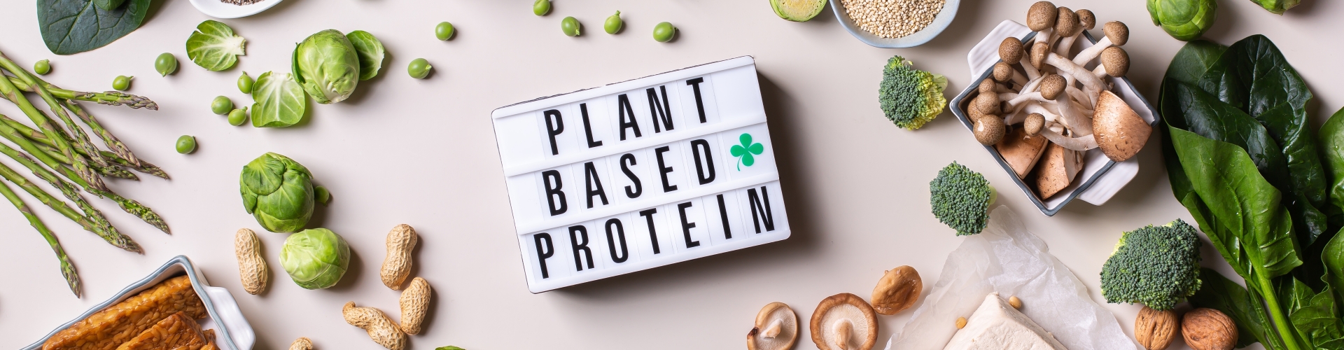 Verschillende plantaardige eiwitbronnen met tekst 'plant based protein'