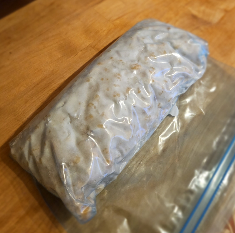 Homemade tempeh, in ziploc bag
