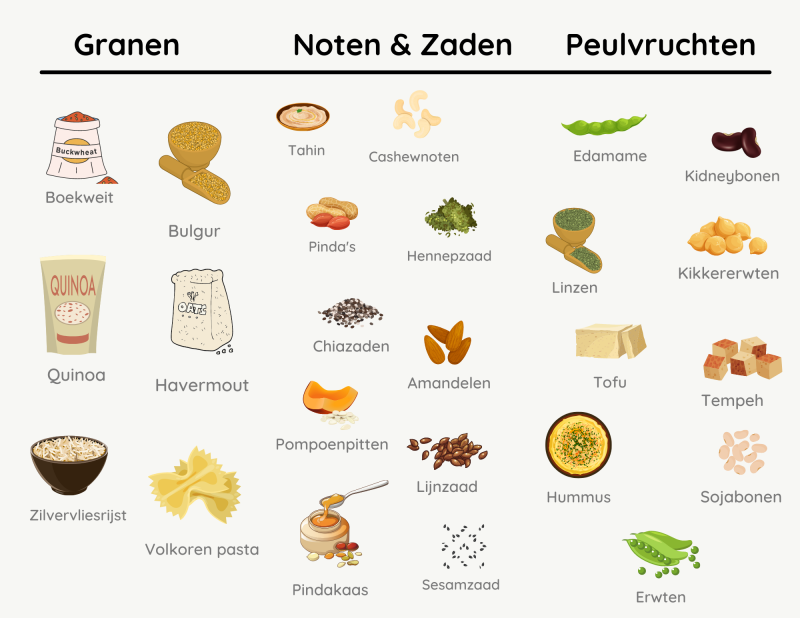Infographic met vegan eiwitrijke producten