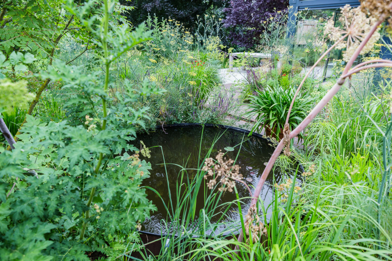 tuin met water ontwerpen