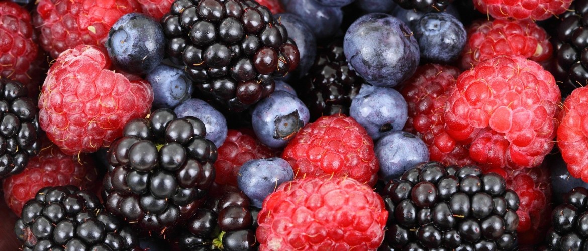 Diepvries Fruit Of Vers Fruit Wat Is Beter Is Diepvries Fruit Gezond Diepvries Fruit Of Vers Fruit Wat Is Beter Is Diepvries Fruit Gezond