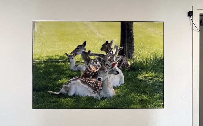 Fotowand als wanddecoratie in appartementencomplex Sint-Maartensdijk