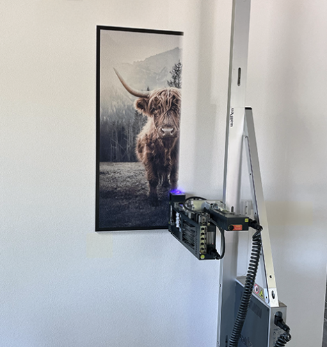 Wandprint van Schotse hooglander in landelijke woonkamer