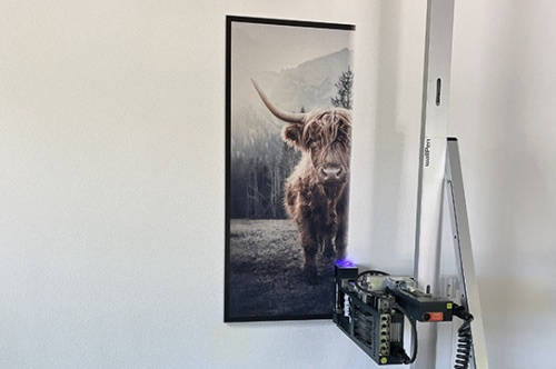 Wandprint van Schotse hooglander in landelijke woonkamer