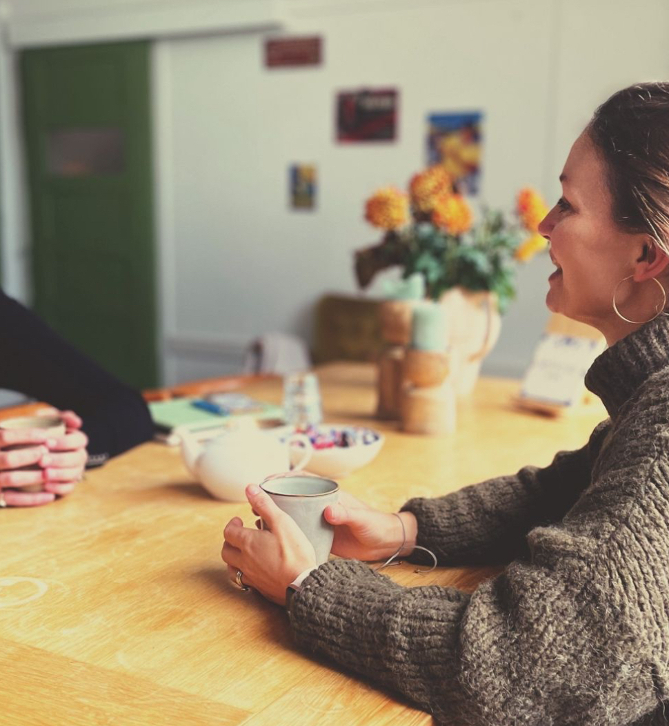 Meestership coaching NLP Systemisch