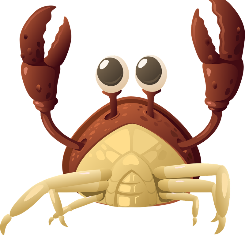 sterrenbeeld kreeft