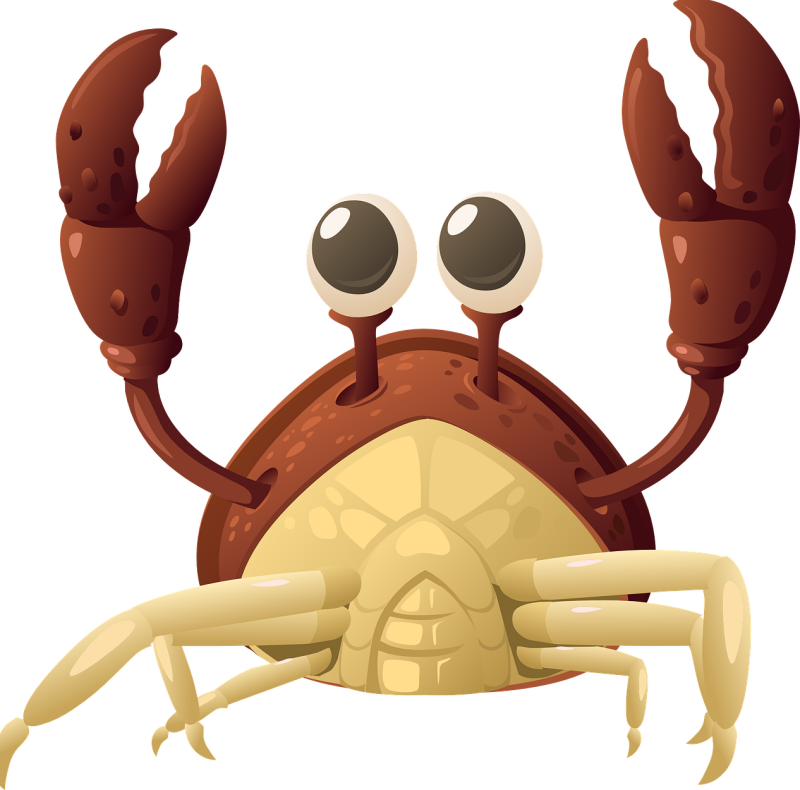 sterrenbeeld kreeft