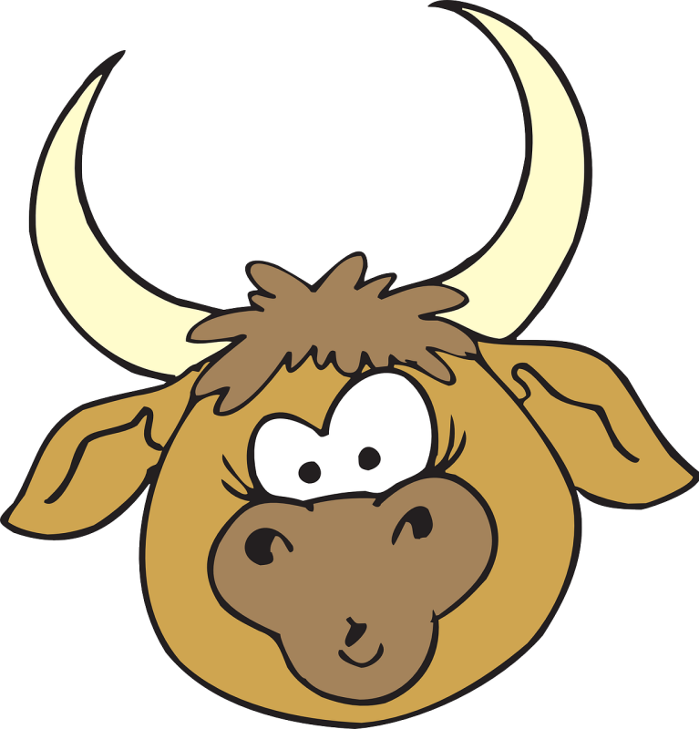 sterrenbeeld stier