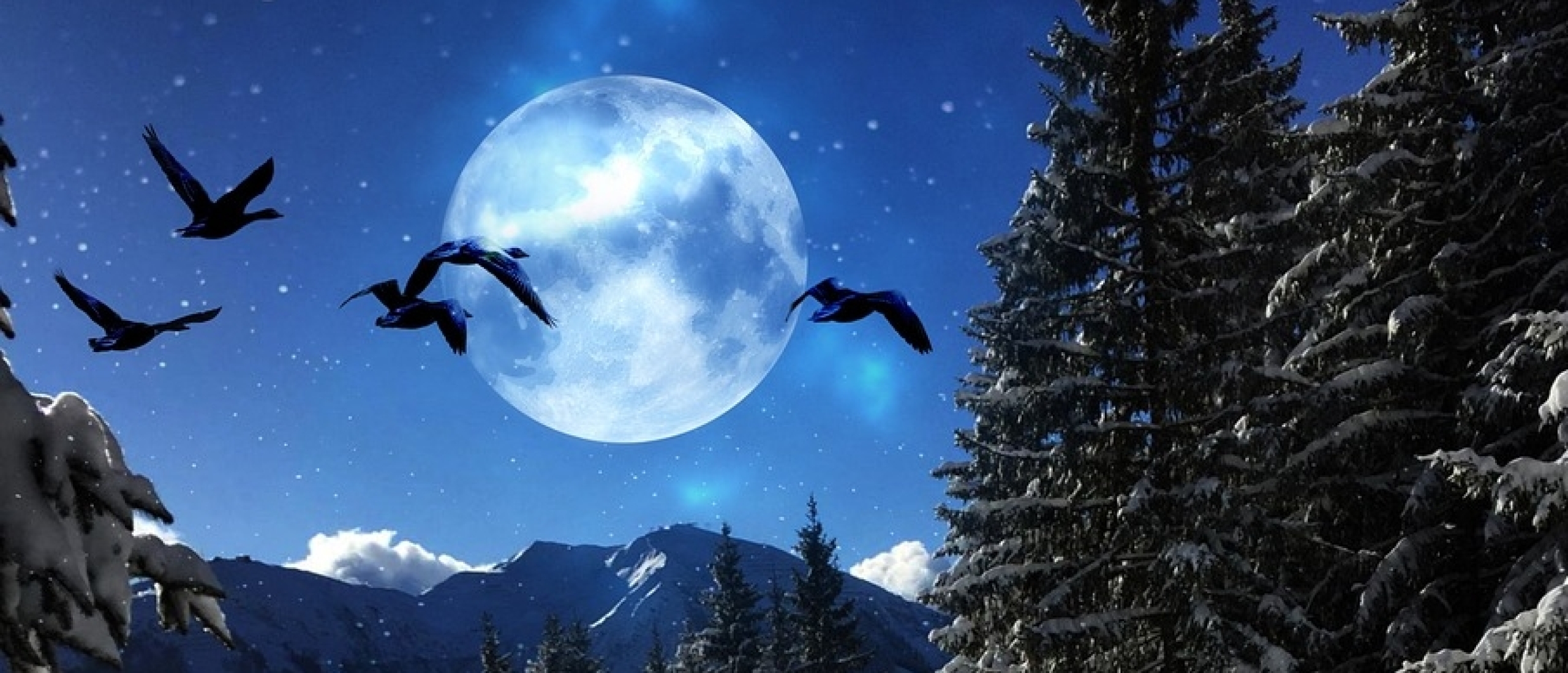 Volle Maan in Tweelingen 27 november 2023