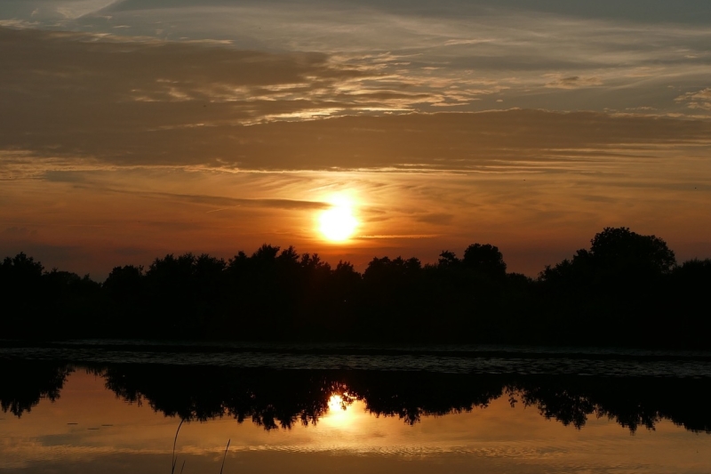 volle maan in vissen