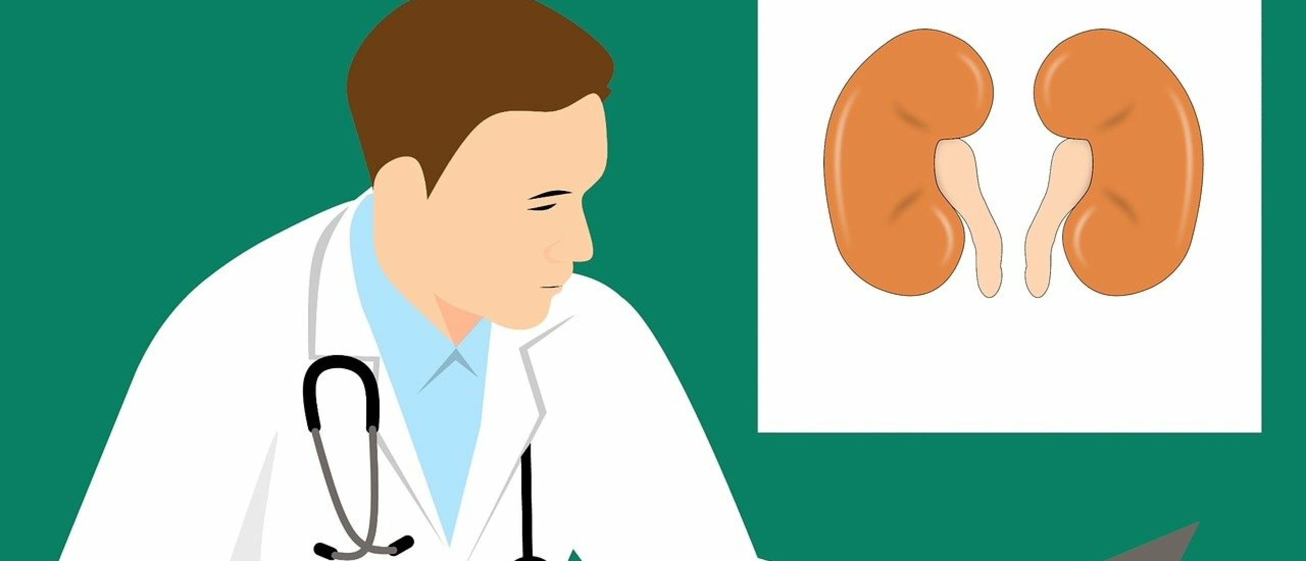 cortisol cortisol