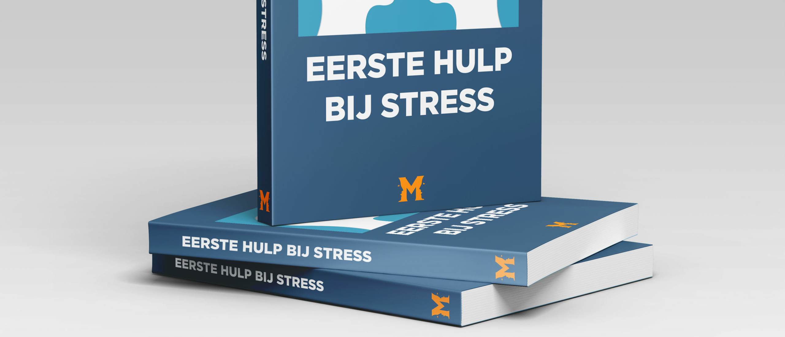 Download gratis het exclusieve E-werkboek 'Eerste hulp bij stress'.