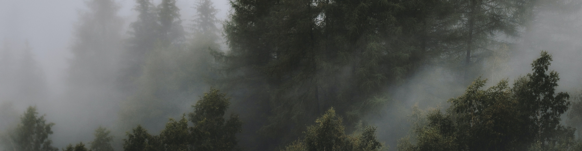 Nature Mentali