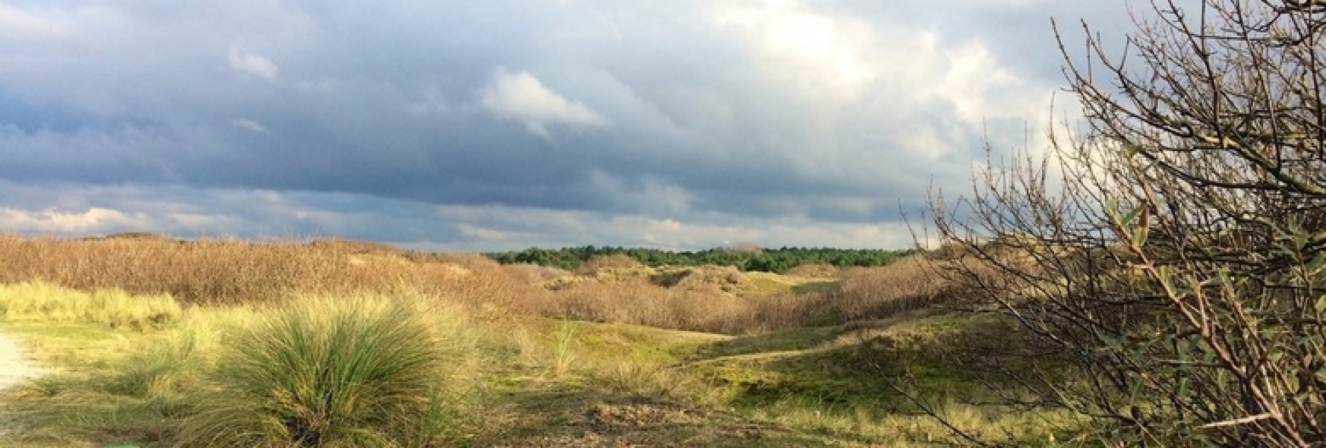 stoïcijnse mannencirkel max ohlenschlager stoïcijnse mannencirkel max ohlenschlager