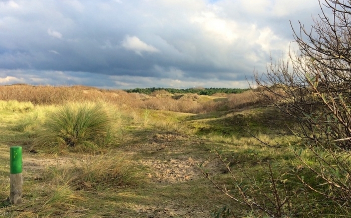 stoïcijnse mannencirkel max ohlenschlager