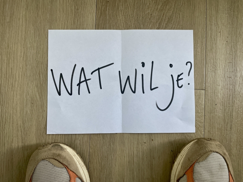 waarom-we-onszelf-in-de-weg-zitten-ii waarom-we-onszelf-in-de-weg-zitten-ii