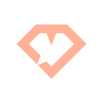 Logo merlinvanrie