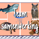 Samenwerken in teams