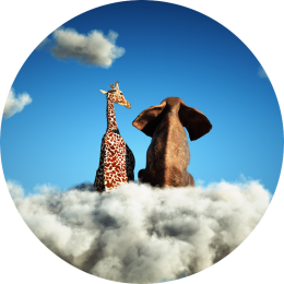 Persoonlijke ontwikkeling non-profit Persoonlijke ontwikkeling non-profit