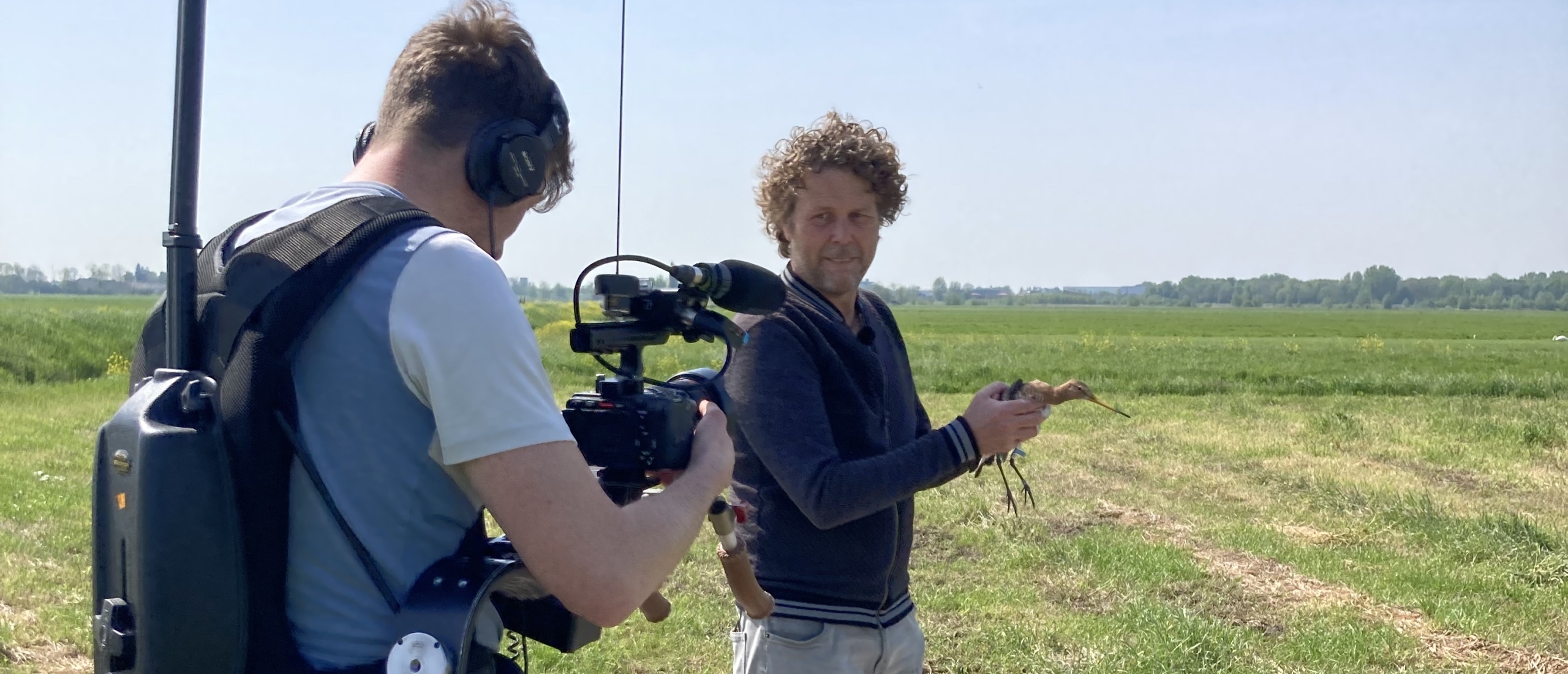 Grutto's gezenderd om behoud online te monitoren via GPS solar zender