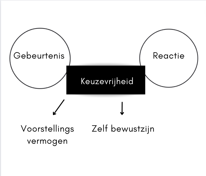 proactiever leven: tussen een gebeurtenis en je reactie zit altijd keuzevrijheid. Hier kan je met je voorstellingsvermogen bijvoorbeeld reageren.