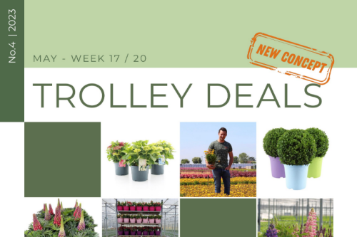 Plant wholesale Green inspiration Plants