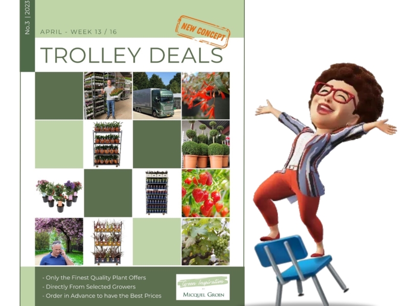 Plant wholesale Green inspiration Plants
