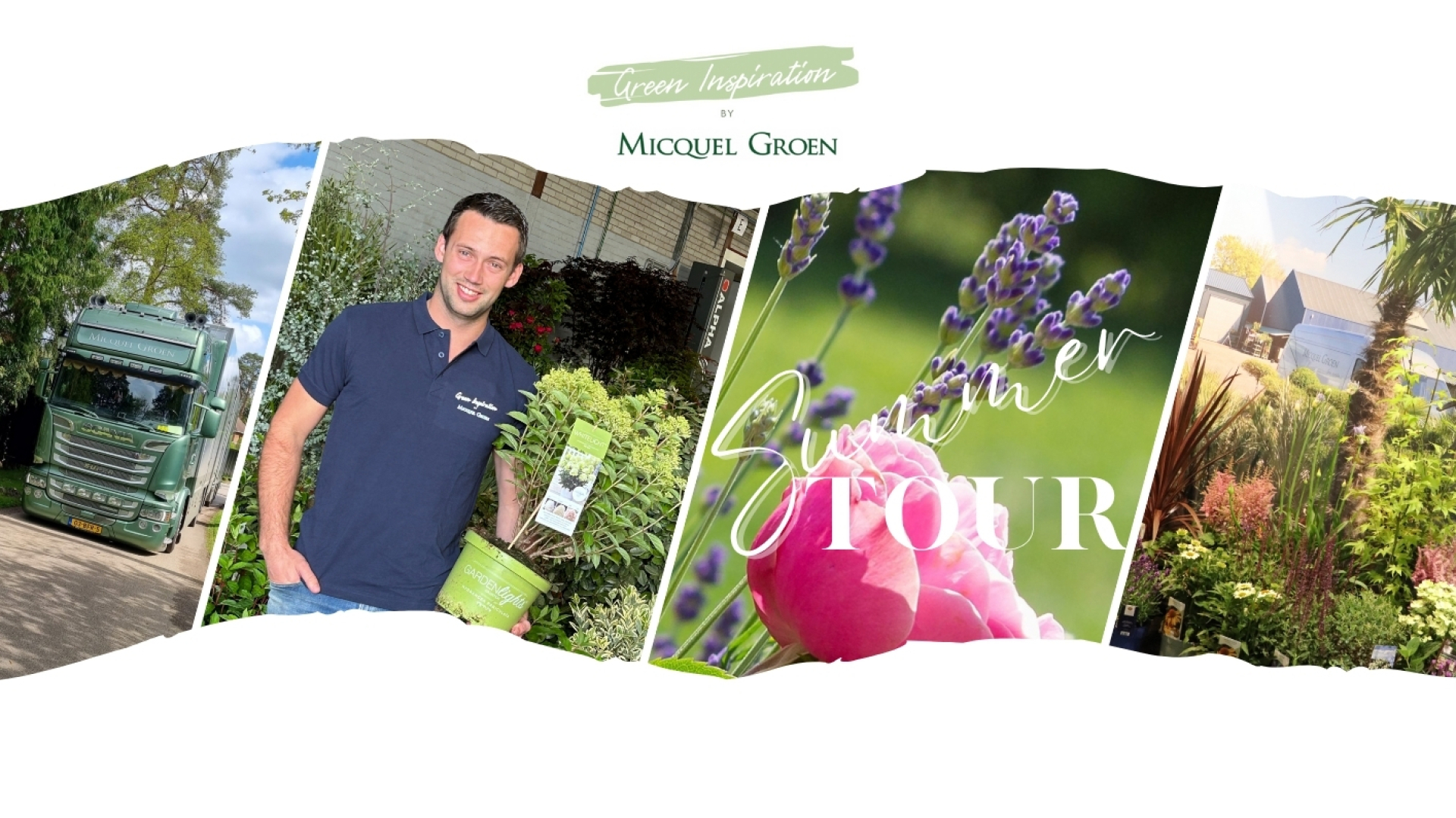 Plant wholesale Green inspiration Plants