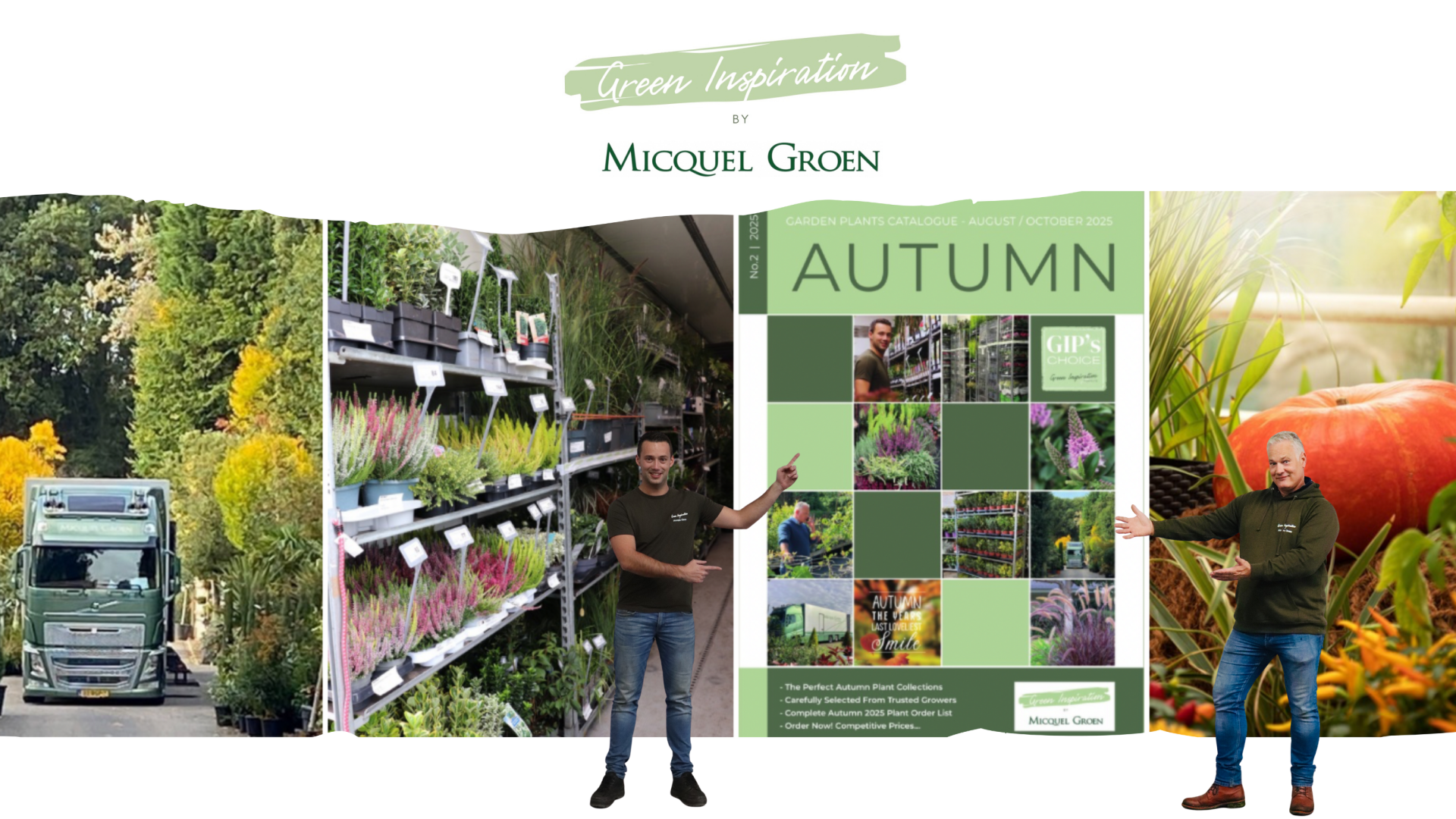 Green Inspiration Plants Green Inspiration Plant Wholesaler Plant Supplier