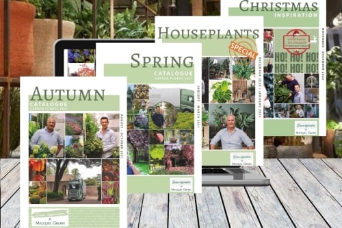 Garden Plants Catalogue