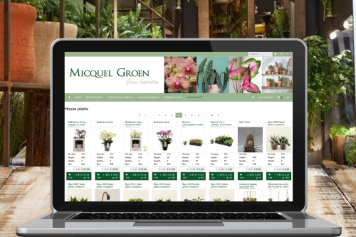 Webshop Micquel Groen, Green Inspiration