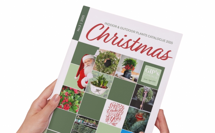 carefully curated selection of indoor and outdoor plants designed to inspire your seasonal assortment.