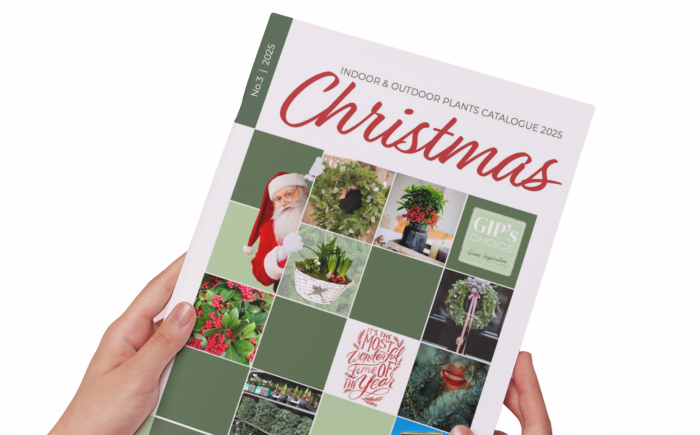 carefully curated selection of indoor and outdoor plants designed to inspire your seasonal assortment.