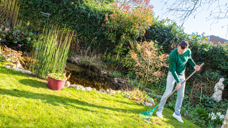 Het opruimen van bladeren vóór de laatste maaibeurt voorkomt schimmelvorming en zorgt voor een gezonde grasmat in de winter. Gazoneigenaar verwijdert herfstbladeren van het gras voor de laatste keer maaien, gezonde grasmat in de winter