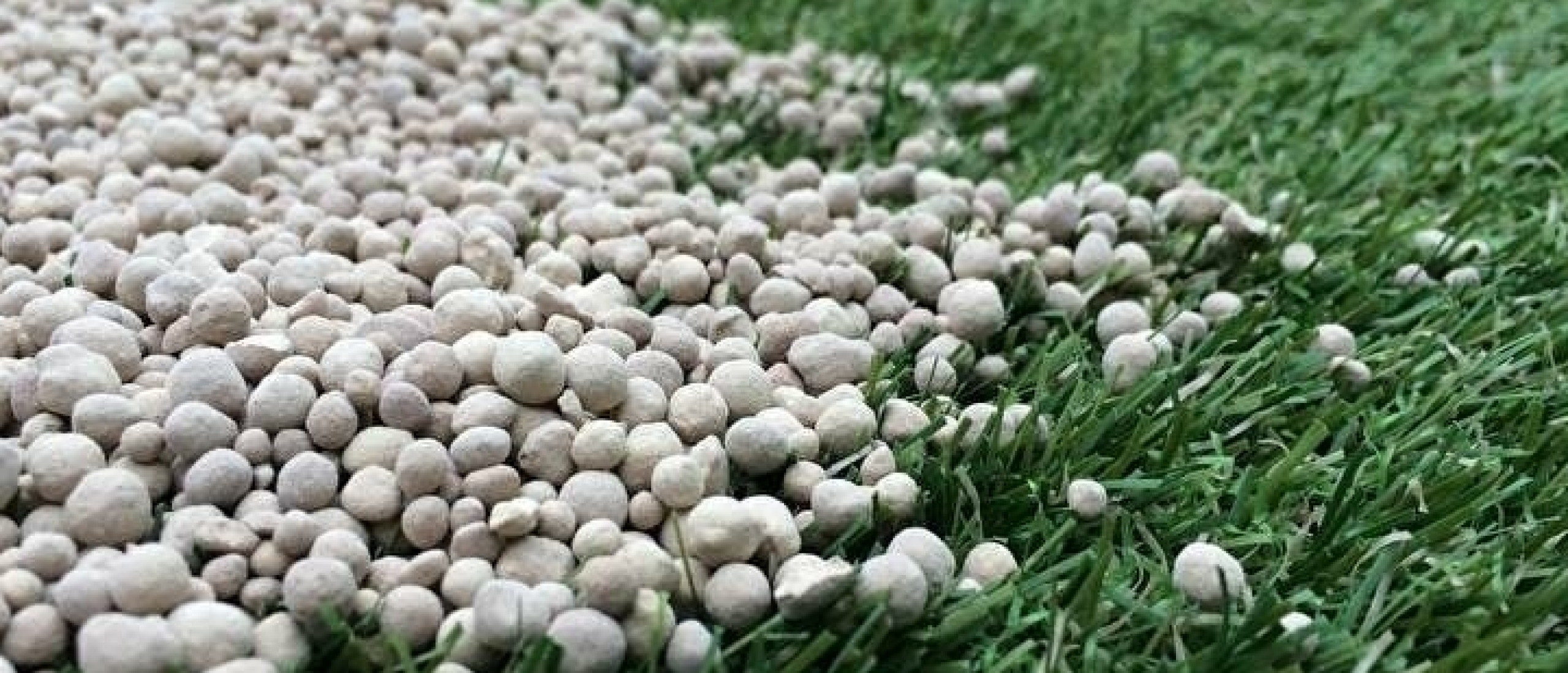 Kalkpoeder of kalkkorrels gazon | MijnGazonCoach