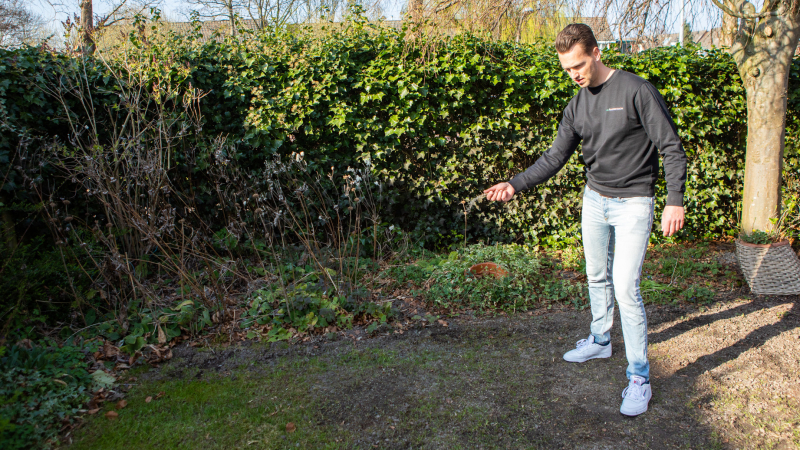 Close-up van een gazon met kale plekken dat wordt hersteld door beluchting, zaai en natuurlijke bodemverbeteraars.