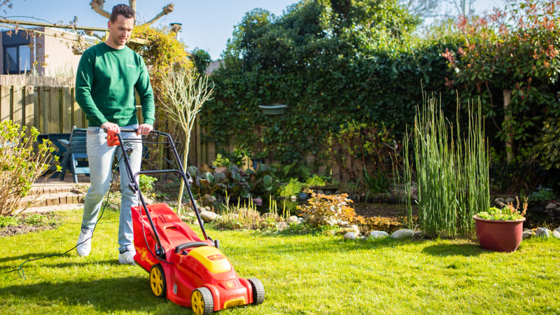 Strak gemaaid gazon met gezonde, groene grasmat en gelijkmatige hoogte, klaar voor zomerse groei.