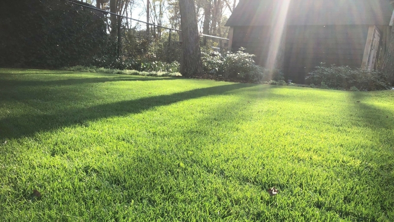 Vergelijking van maaihoogtes: siergazon, speelgazon, sportgazon en schaduwgazon met duidelijke hoogteverschillen.