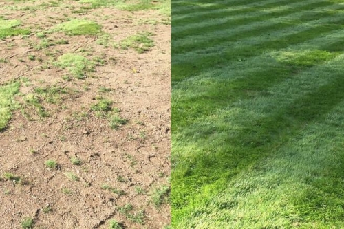 Gazon cursus MijnGazonCoach