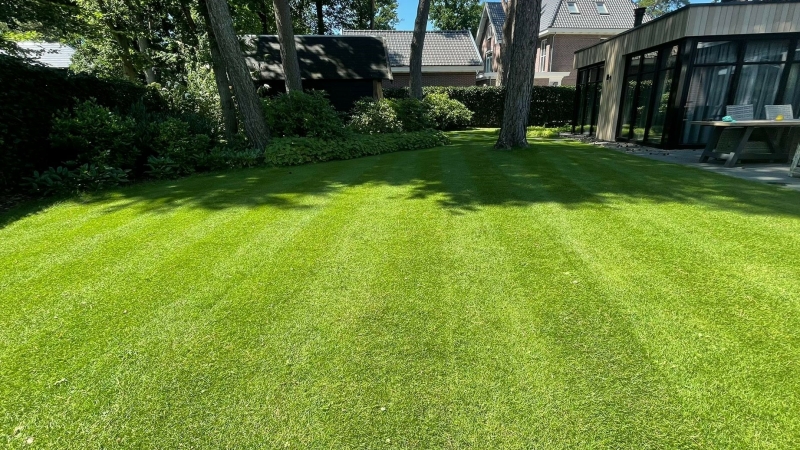 diepgroen gazon door voldoende spoorelementen in de bodem