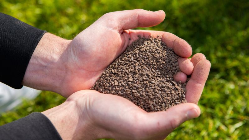Bemesten gazon met hoogwaardige gazonmeststoffen