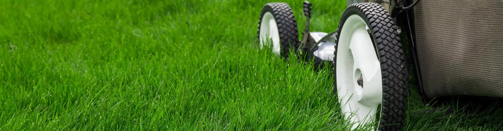 Gazononderhoud Gras maaien gazononderhoud