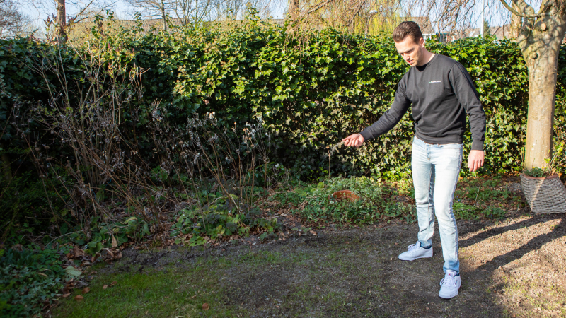 Gazon doorzaaien met graszaad voor herstel van kale plekken