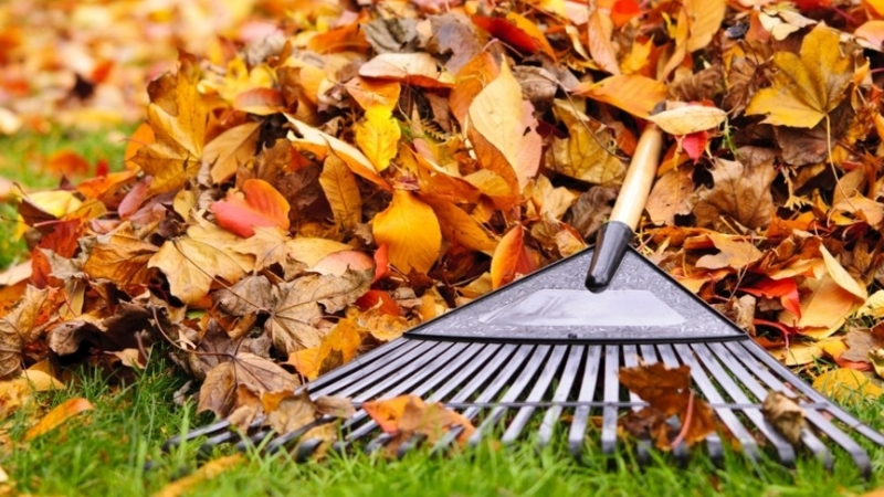 Laatste keer maaien in de herfst | gazon onderhoud | grasonderhoud | gazon renovatie | gazon herstel | gazon werkzaamheden winter | gazonwerkzaamheden herfst | gazonwerkzaamheden zomer | gazonwerkzaamheden herfst