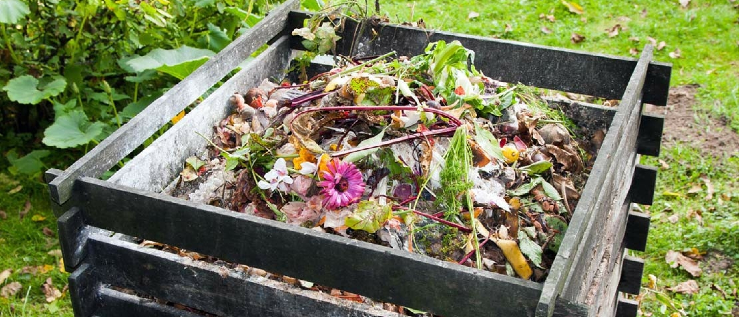 Wanneer & waarom compost gebruiken?